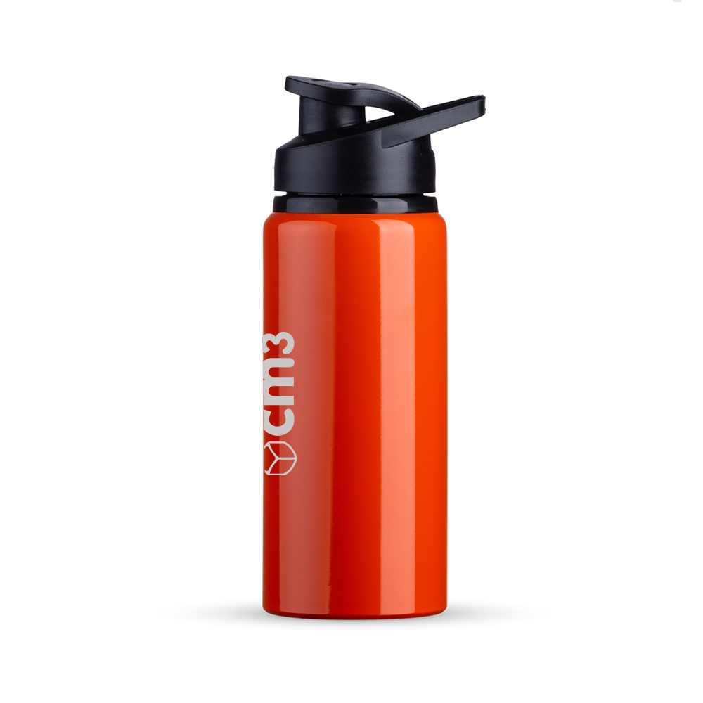 Brindes Personalizados - Garrafa de Alumínio com Alça 600ml