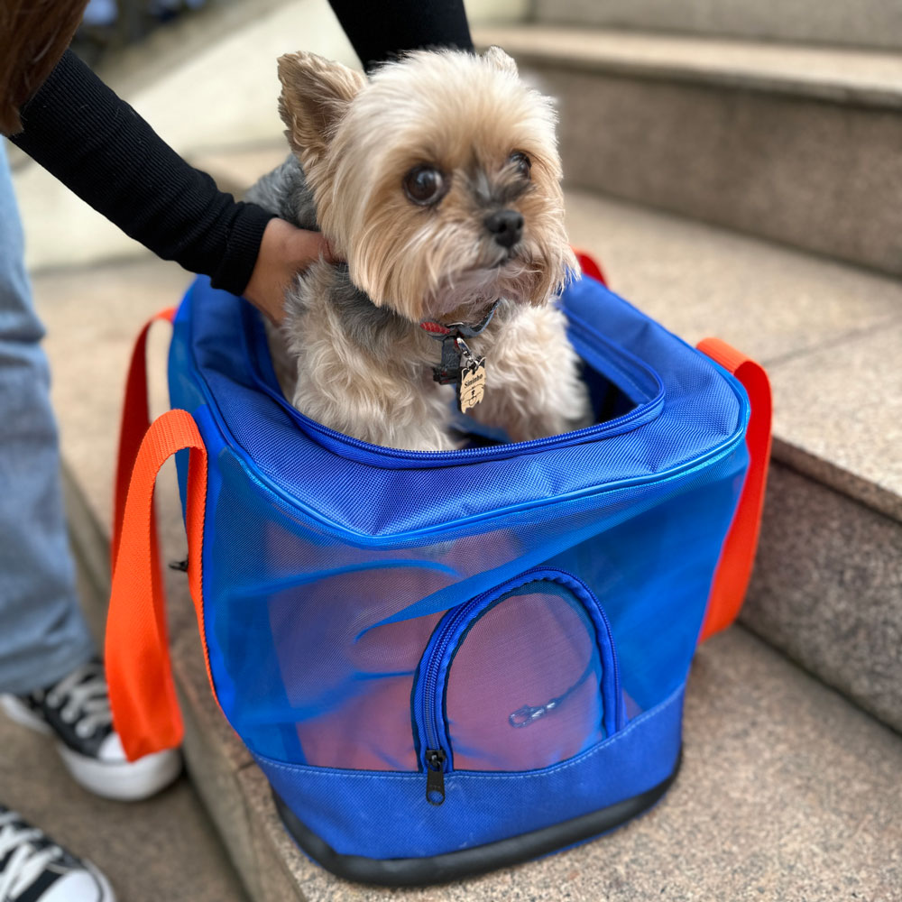 Brindes Personalizados - Bolsa para Transporte de PET