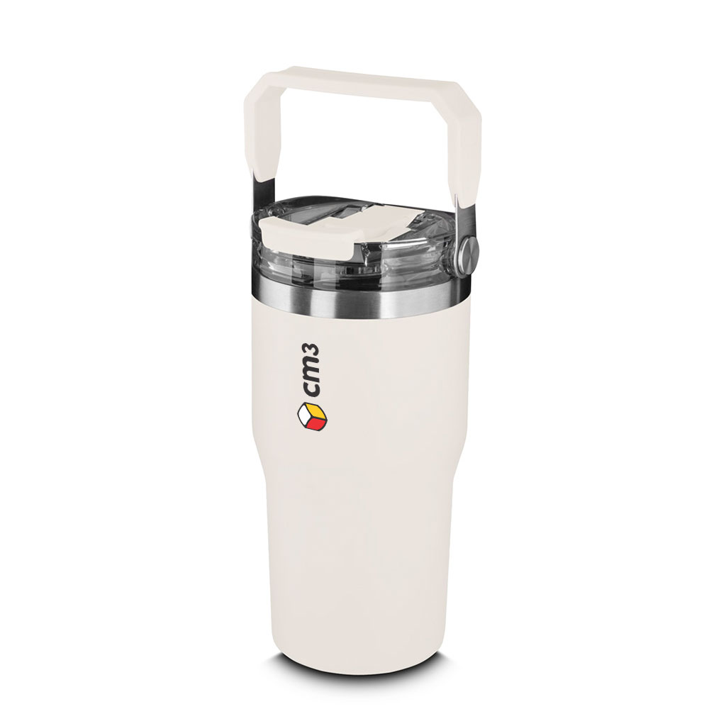 Brindes Personalizados - Garrafa Metal Térmica 650ml Personalizada